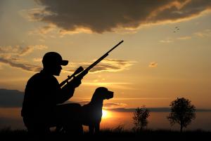 Chiedere il rilascio del tesserino regionale per la caccia